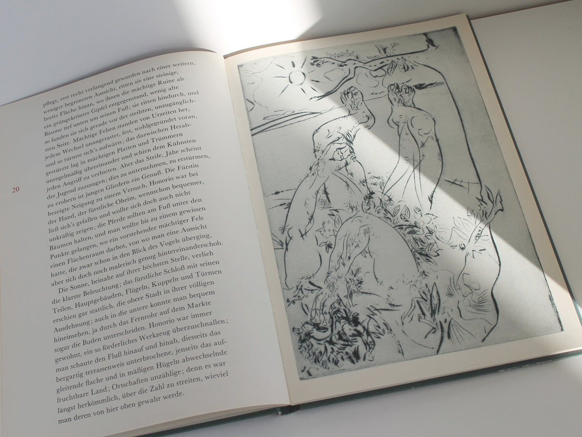 Johann Wolfgang Goethe – Novelle